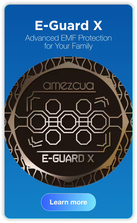 E-Guard X