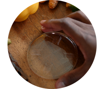 Bio Disc 3 Step 1