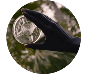 Bio Disc 3 Step 4